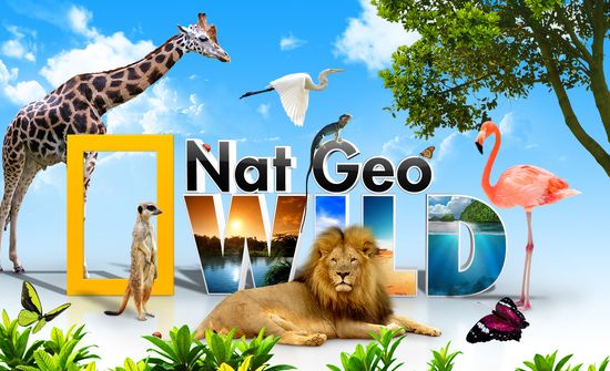 Nat Geo Wild Αδάμαστη Αμερική (2013)
