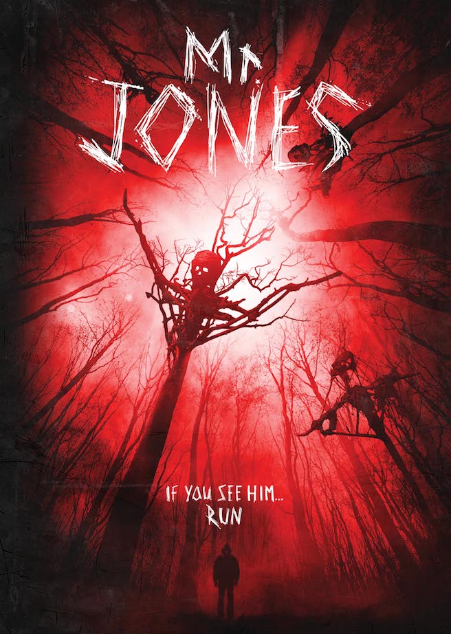 Mr. Jones (2013)