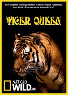 Tiger Queen/βασίλισσα τίγρη
