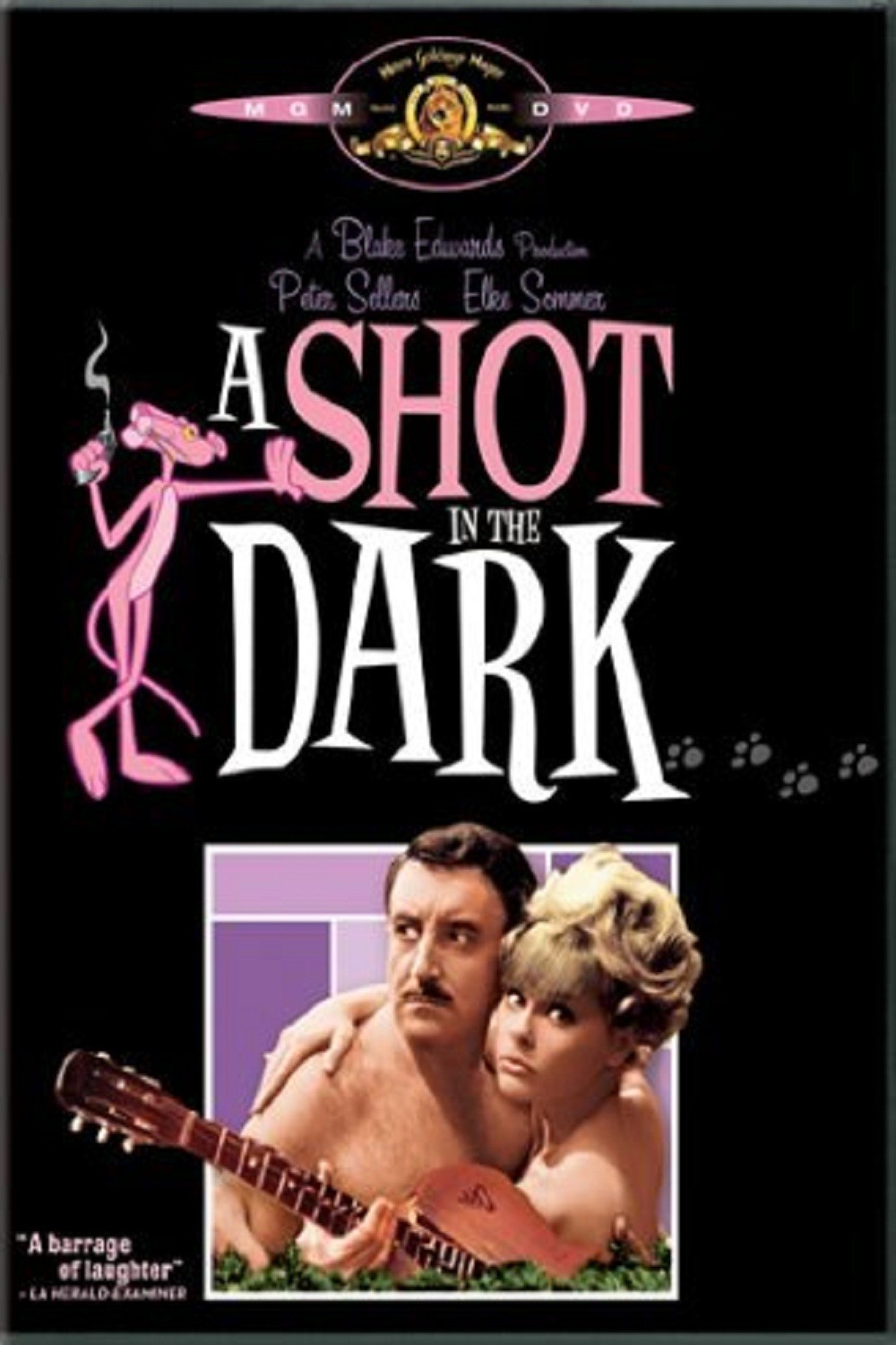 A shot in the dark (1964)