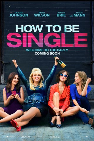 Οδηγός για singles / How to Be Single (2016)