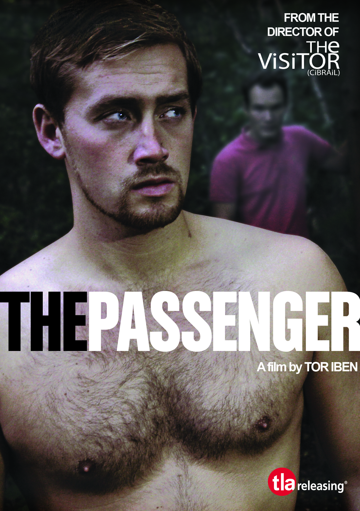 The Passenger (2013)