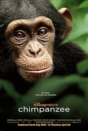 Chimpanzee 2012