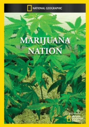 Marijuana Nation 2008