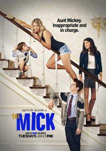 The Mick (2017-2018) TV Series