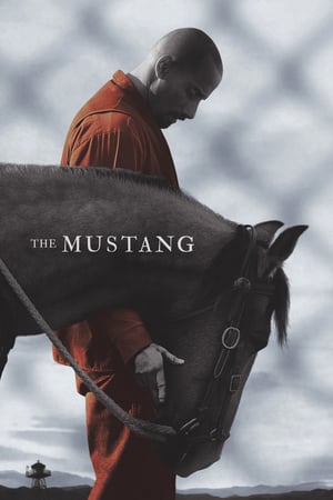 The Mustang (2019)