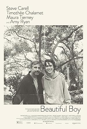 Beautiful Boy / Ένα Όμορφο Αγόρι (2018)