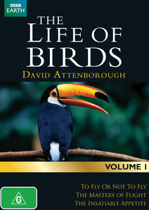 Η ζωή των πουλιών / The Life of Birds  BBC (1998)