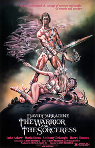 The Warrior and the Sorceress (1984)