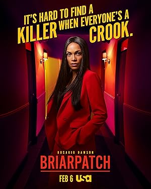 Briarpatch (2019)