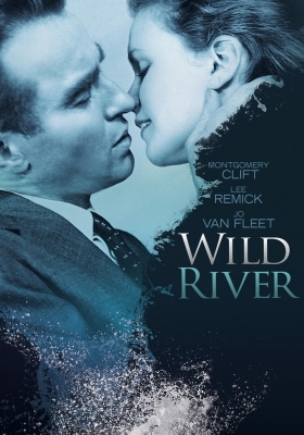 Wild River / Λάσπη στ’ αστέρια (1960)