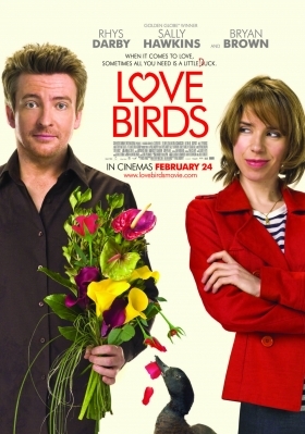 Love Birds 2011