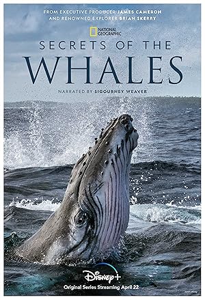 Μυστικα Των Φαλαινων / Secrets of the Whales (2021)