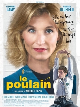 We Need Your Vote / Le Poulain (2018)