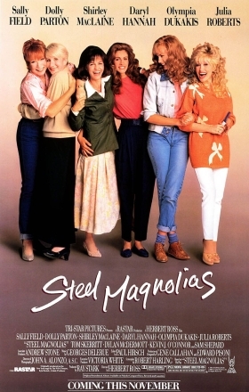 Steel Magnolias / Ανθισμένες μανόλιες (1989)