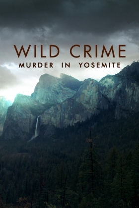 Αγριο Εγκλημα / Wild Crime (2021)