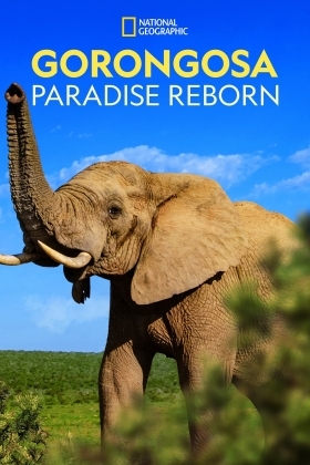 Gorongosa: Paradise Reborn (2022)