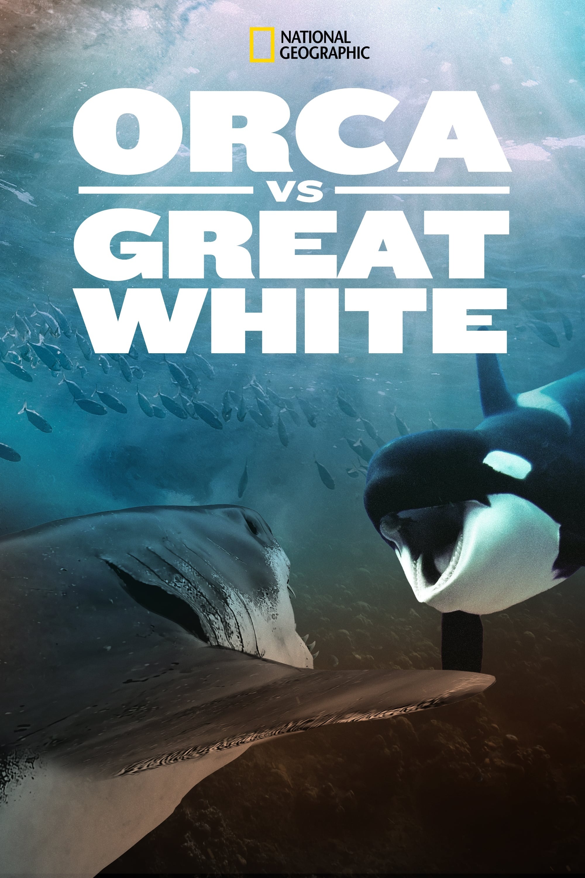 Shark vs. Whale (2020)