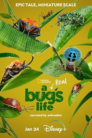 A Real Bug's Life / Ζουζούνια από Κοντά (2024)