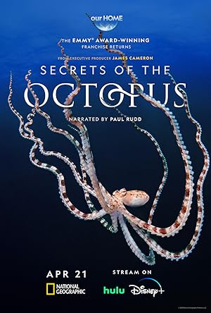 Μυστικά των Χταποδιών / Secrets of the Octopus (2024)